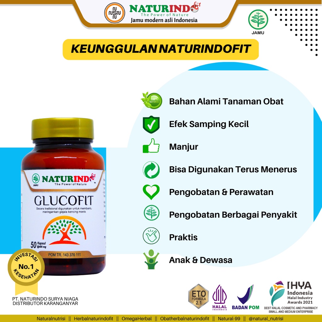 Obat Diabetes Paling Ampuh Herbal Diabetes Obat Gula Darah Tinggi Obat Kencinrg Manis Obat Diabetes Kering Disertai Luka Glucofit Naturindo