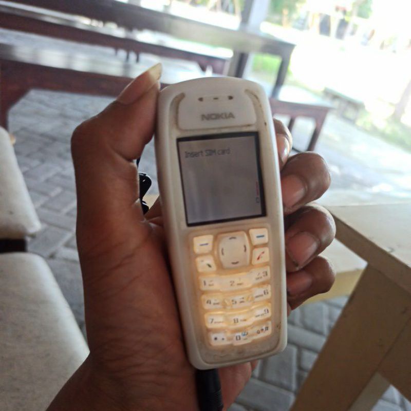 nokia 3100