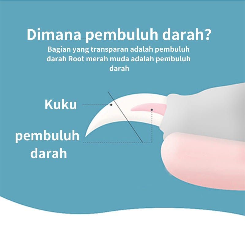 PREMIUM Gunting Kuku Anjing Kucing / Gunting Kuku Hewan Peliharaan / Pet Nail Clipper