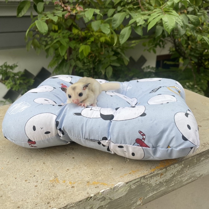 BANTAL SUGAR GLIDER KUCING ANJING KITTEN SLEEPING POUCH SUGAR GLIDER