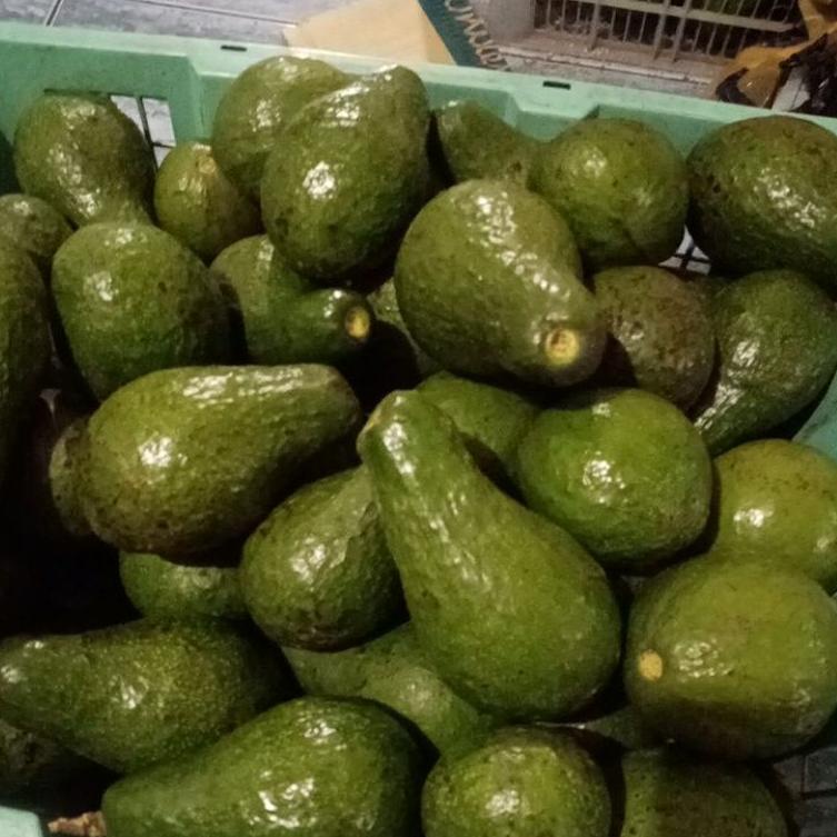 

BRAND✔️ Pilihan Alpukat Mentega 1kg isi 4-5 .,.,.,..,
