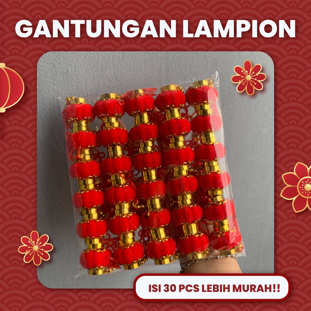 

[30 PCS] HIASAN GANTUNGAN IMLEK CNY HAMPERS BELUDRU TERMURAH PREMIUM