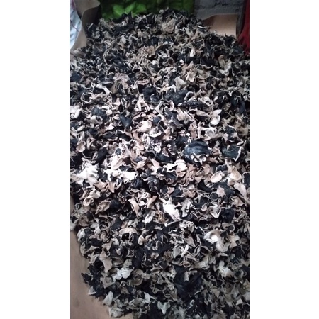 

jamur kuping kering 1,>kg/1020 gr Bagus