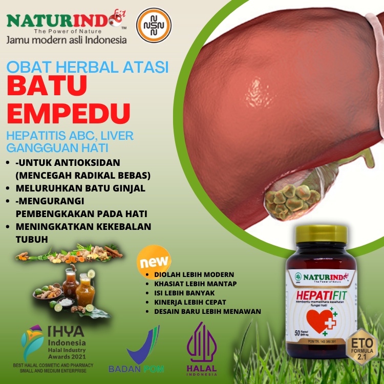 Obat Batu Empedu Liver Obat Hepatitis Sakit Perut Ampuh Herbal Hepatifit
