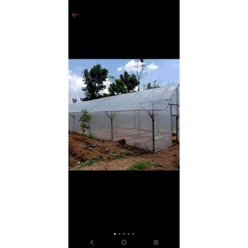 plastik UV lebar 4meter dan 3meter 200micron/0.20mm