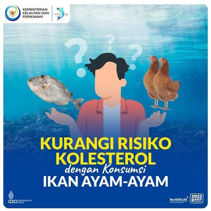 

Ikan Ayam-Ayam/Ikan entong