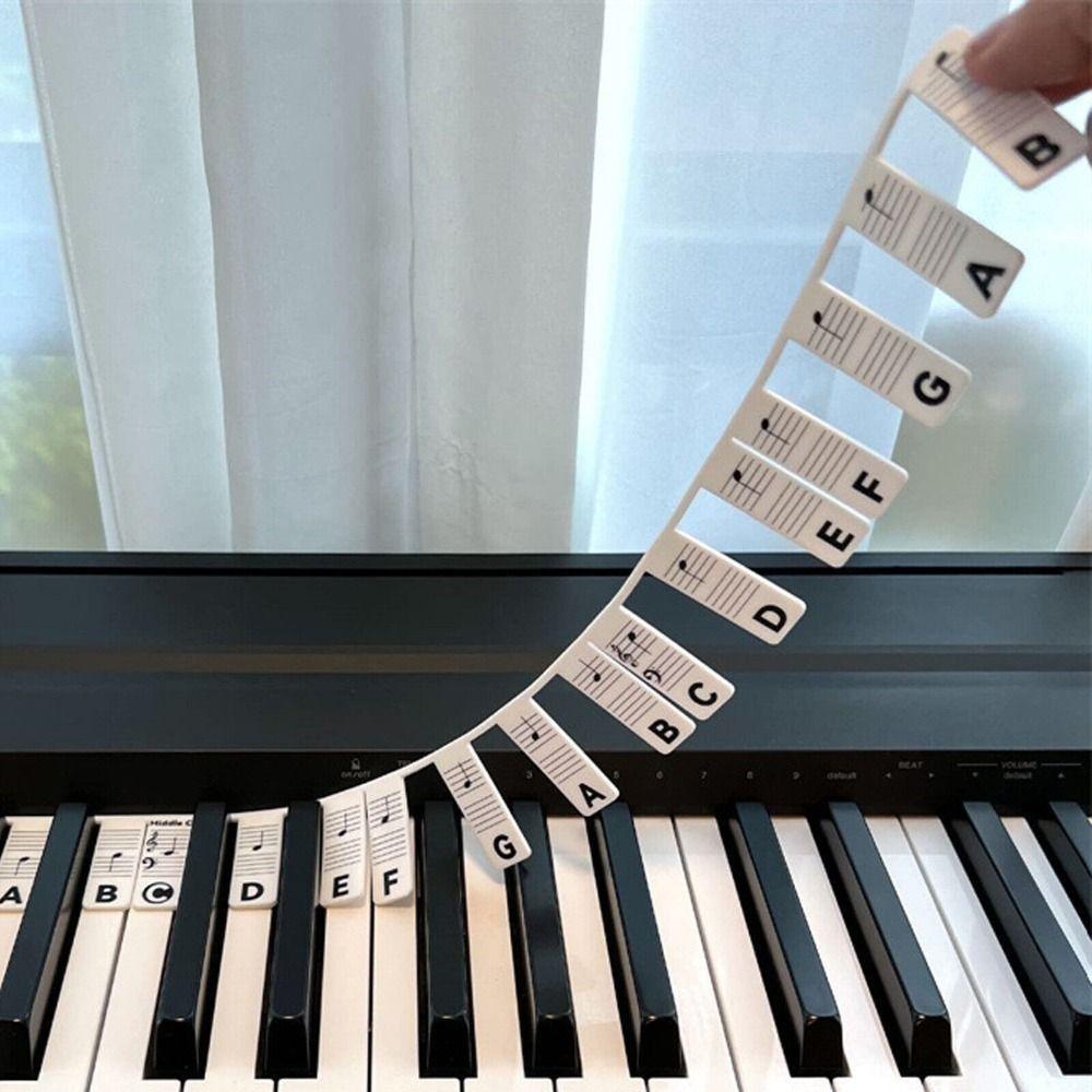 Suyo Stiker Piano Silikon Removable Double Line Score Display 88kunci