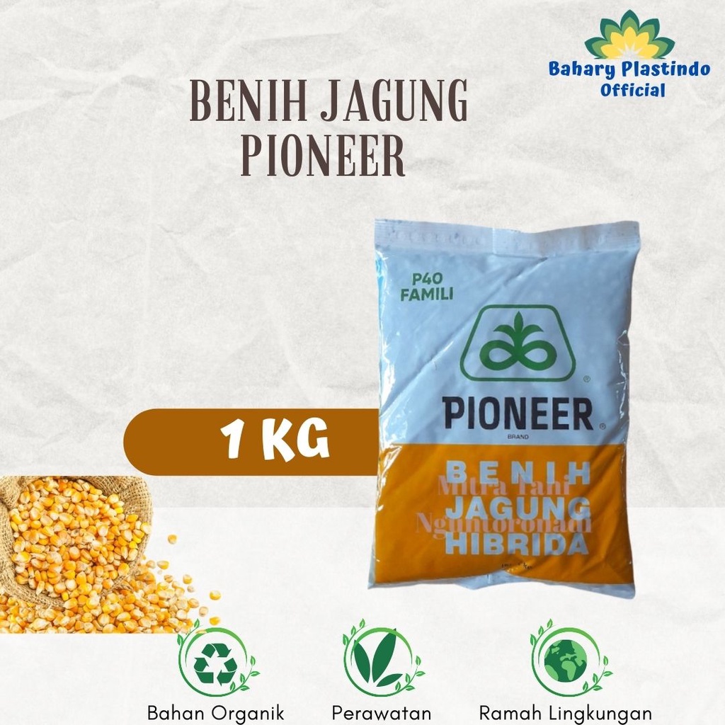 Benih Jagung Hibrida Pioneer P36 1 kg