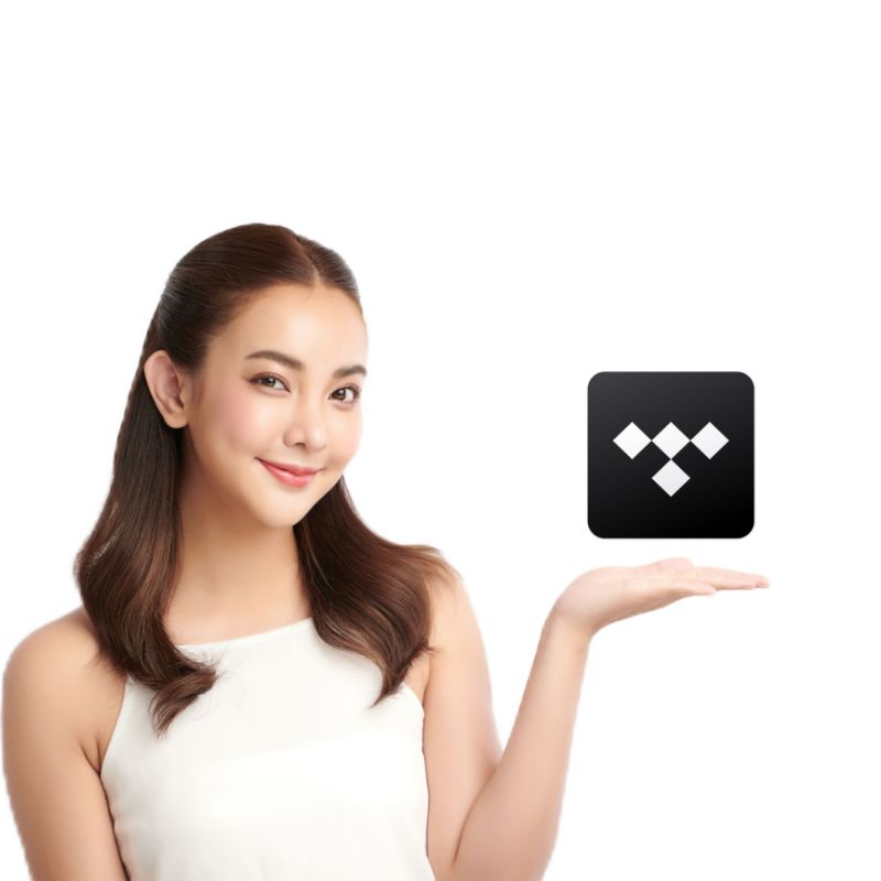 Tidal HiFi - Robert Media 378