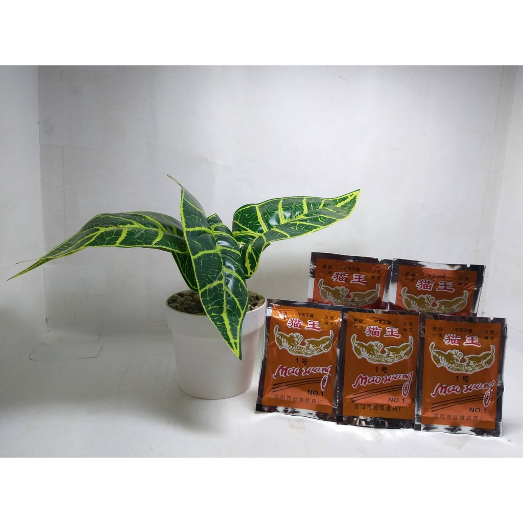Racun Tikus Mati Kering dan Gak Bau - Mao Wang No.01 Gold Premium Kemasan Besar [𝐎𝐑𝐈𝐆𝐈𝐍𝐀𝐋] Paling Ampuh Langsung Mati di Tempat