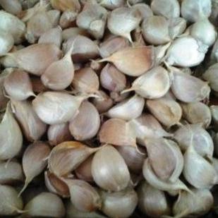 

✨ 7.7 Bawang putih kating HSD bersih kualitas premium (Jamin tidak ada yang busuk) 1KG/500GR