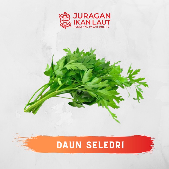 

Daun Seledri Segar Fresh Berkualitas - 1 Ikat