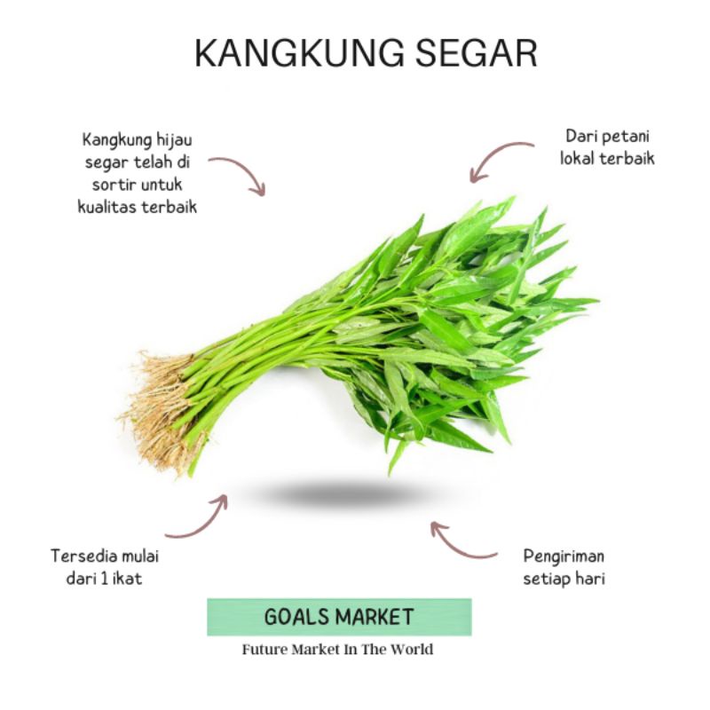 

Kangkung Hijau 1 Ikat Sayur Kangkung Lokal