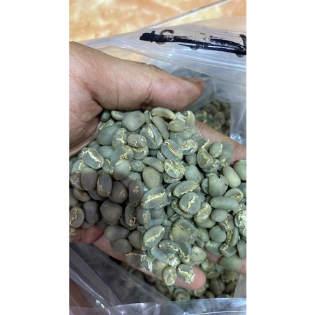 

GREEN BEANS ARABIKA GARUT SEMI WASH