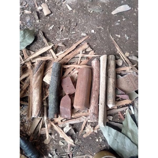 tujuh kayu bertuah kalimantan