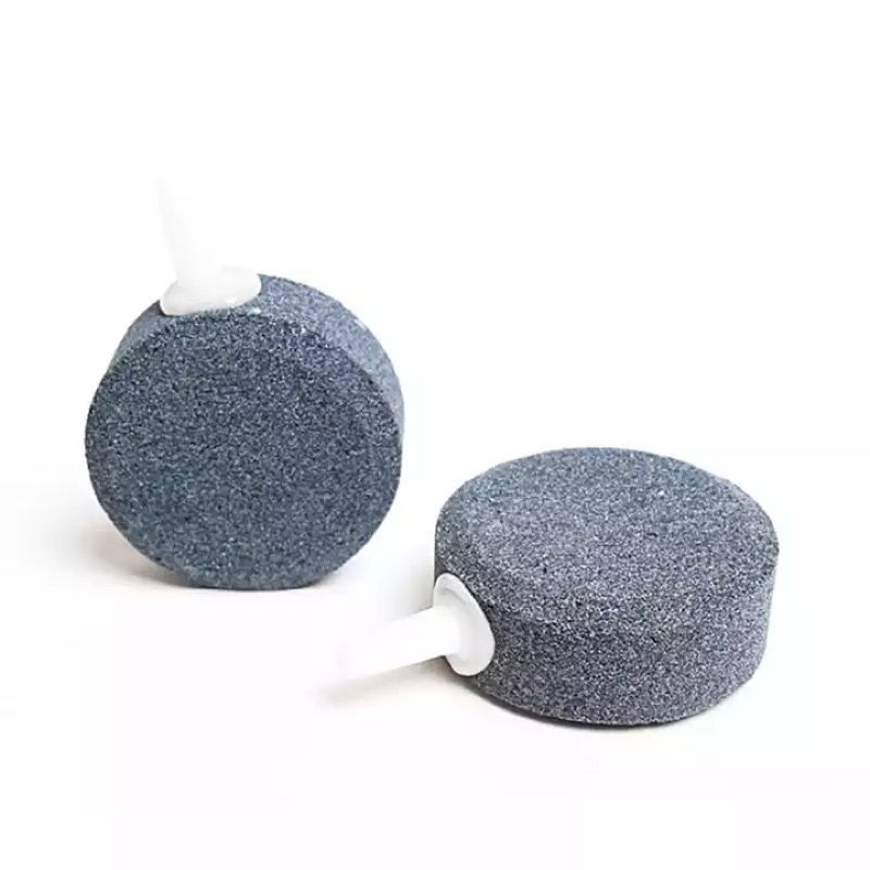 Batu Aerator Bulat Pipih 5cm