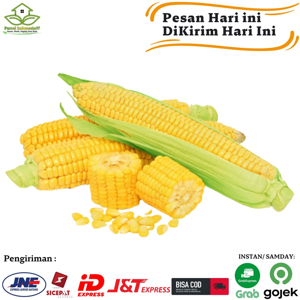 

Jagung Manis Kupas Segar