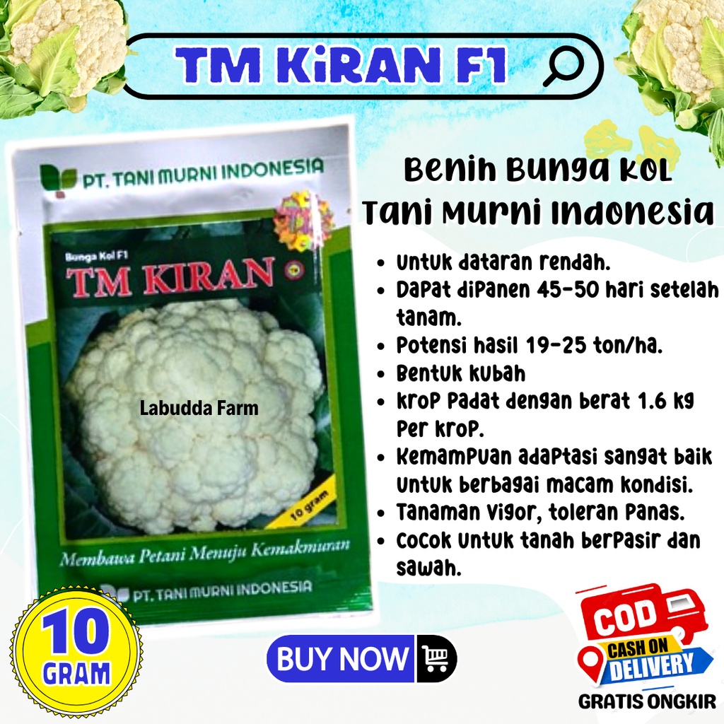Benih Kembang Kol TM Kiran F1 10 Gram Benih Bunga Kol Dataran Rendah Tm Kiran Original Pabrik Tani M