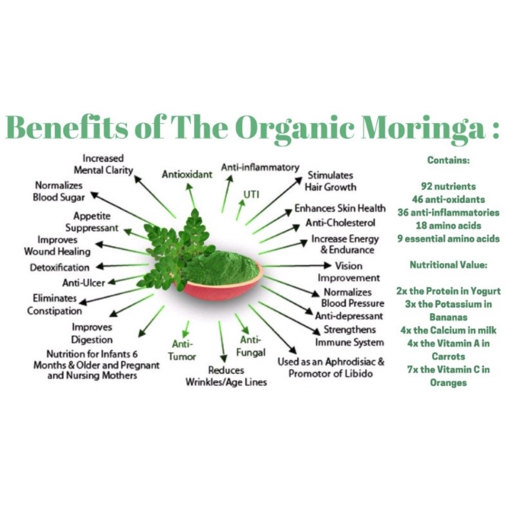 

ELIF TEA AND TISANE Moringa Tea Teh Daun Kelor 30 Tea Bag