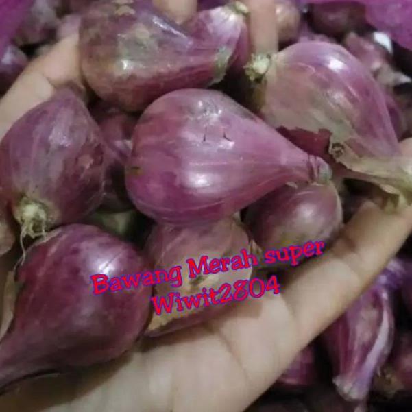 

[PRODUK DVJ] Bawang Merah Brebes Super ukuran besar 1kg PWH