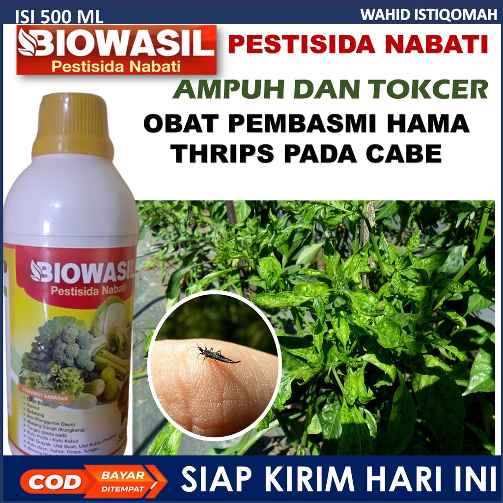 (SIAP COD) PESTISIDA BIOWASIL 500ML OBAT PEMBASMI HAMA thirips pada cabe Ulat Grayak, Lalat Buah, Ul