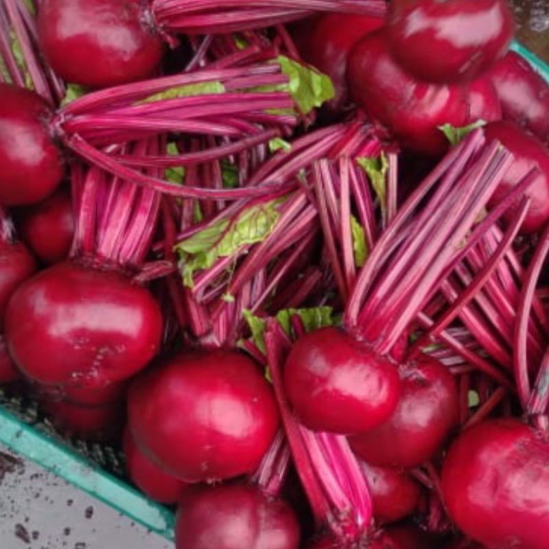 

BUAH BIT KUALITAS TERBAIK 1KG