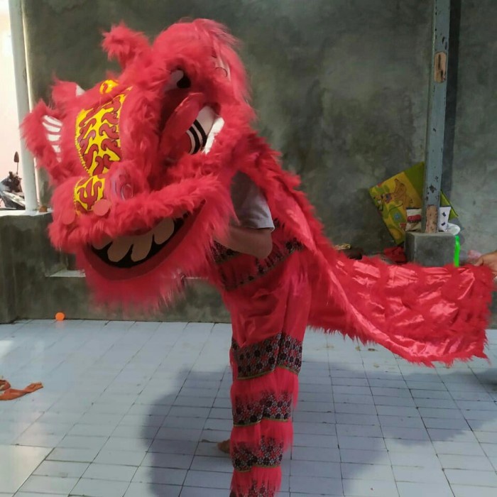 Barongsai remaja/dewasa+celana+rompi