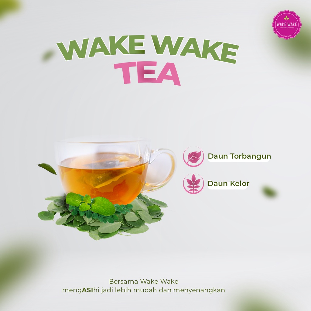 ASI Booster Torbangun - Wake Wake Tea (Daun bangun bangun) - 10 Sachet