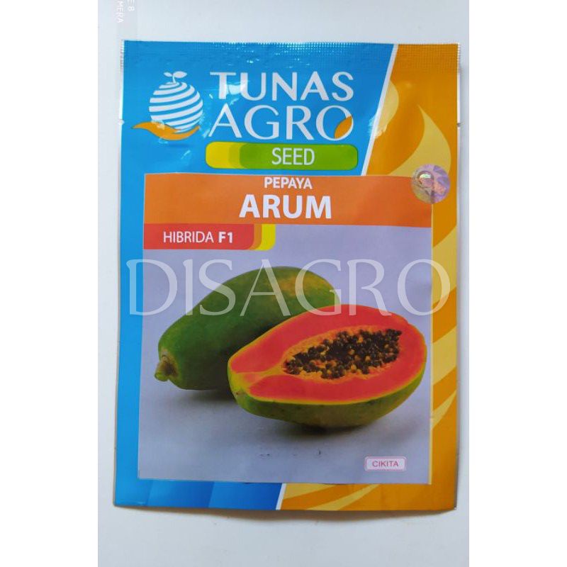 Benih Pepaya Hawai Madu ARUM F1 Produksi Melimpah Rasa Manis