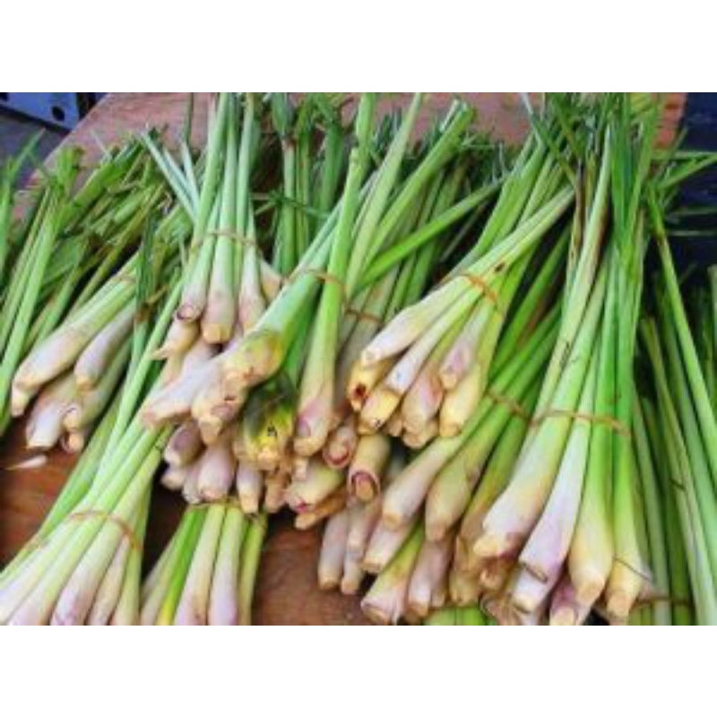Sereh Wangi 1 kg