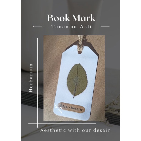 

mine.plant Handmade Bookmark/ Penanda Buku/ Pembatas Buku Herbarium, Pressed flower, Bunga Kering Murah Aesthetic