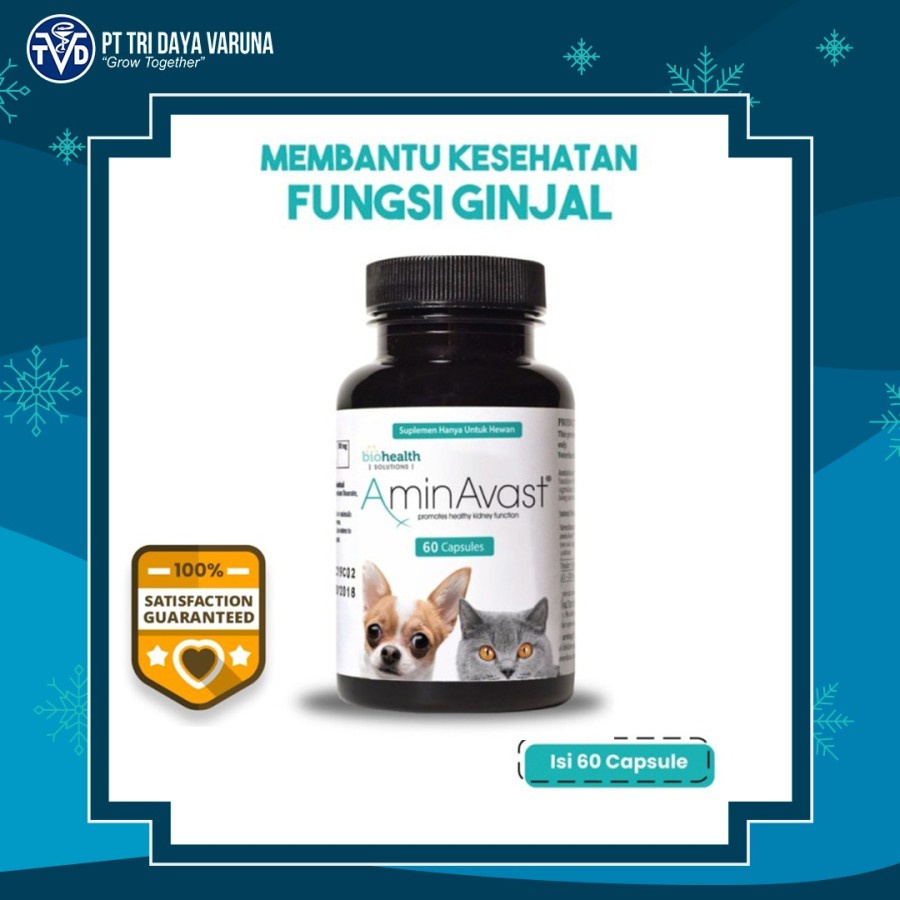 AMINAVAST - SUPLEMEN KESEHATAN FUNGSI GINJAL ANJING DAN KUCING