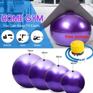 Gymball Bola Senam Yoga 55 CM 65 CM 75 CM Gym Ball Fitness Ball Bola Ibu Hamil Yoga Ball Free Pompa