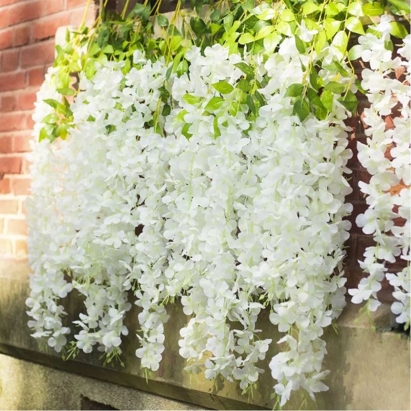 [1 LUSIN ] Wisteria Gantung Besar / Bung aJuntai Wisteria (12 pcs)