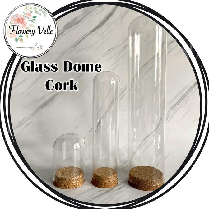 Glass Dome Besar Kubah Kaca Kosong Tinggi Display Box Glassbox Jar