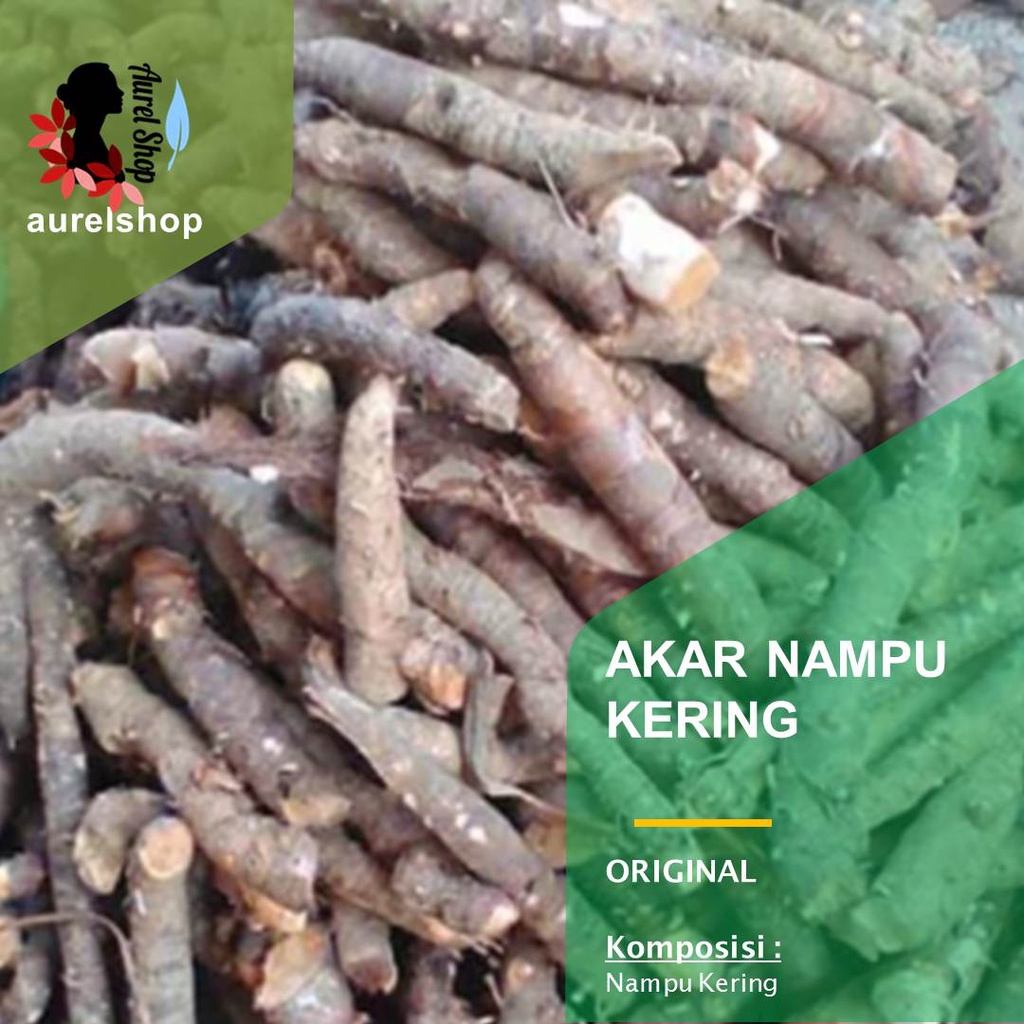 

Akar Nampu Kering 1 kg Cariyang Bodas Nyampu (Homalomena occulta)