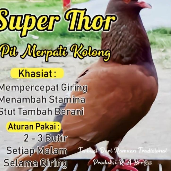 

(V-36♫♪) Super thor jamu merpati isi 120 butir terlaris super keren