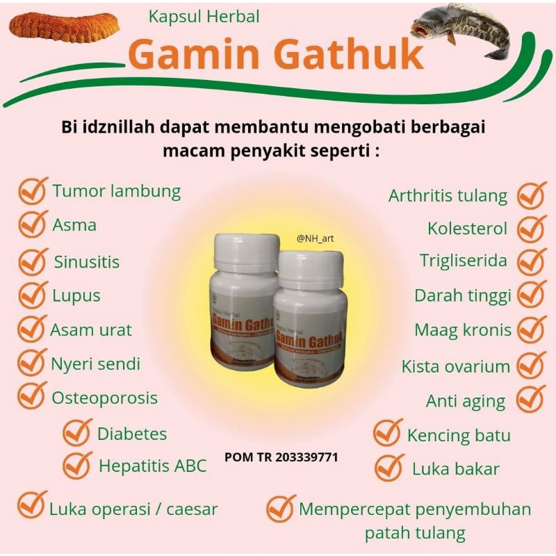 Gamin Gathuk