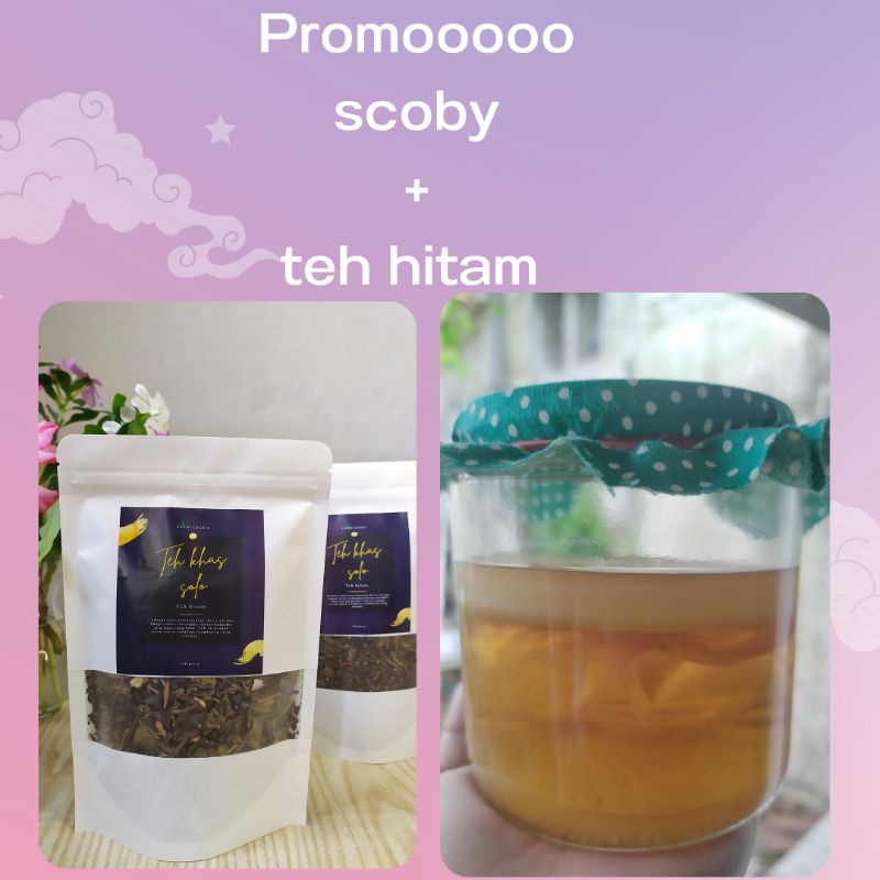 

promo bibit kombucha / jamur scoby / scoby terbaik teh