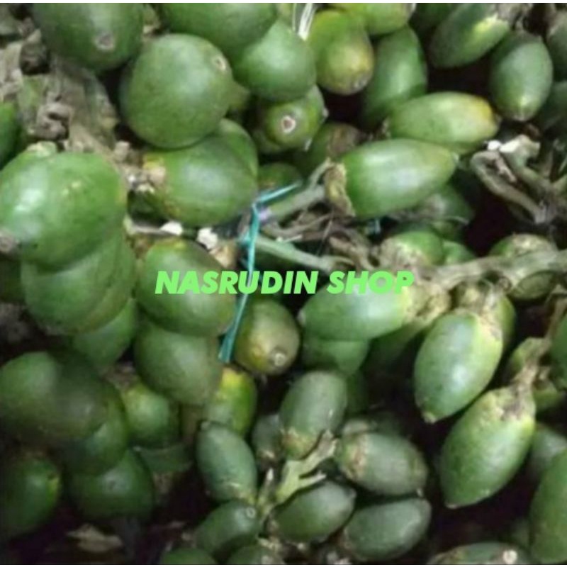 

BUAH PINANG MUDA SEGAR LANGSUNG PETIK