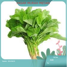 

Sayur Bayam segar Medan 1 Ikat | PASAR MURAH MEDAN