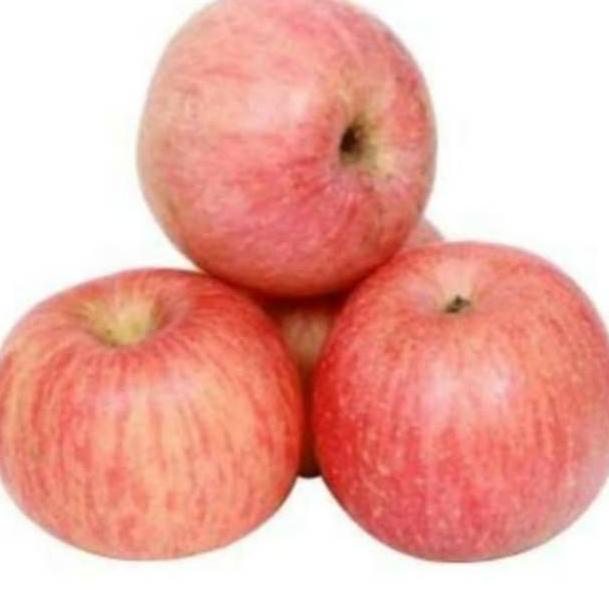 

TELAH HADIR Apel Fuji 550 gram (3 pcs) ✦ 882