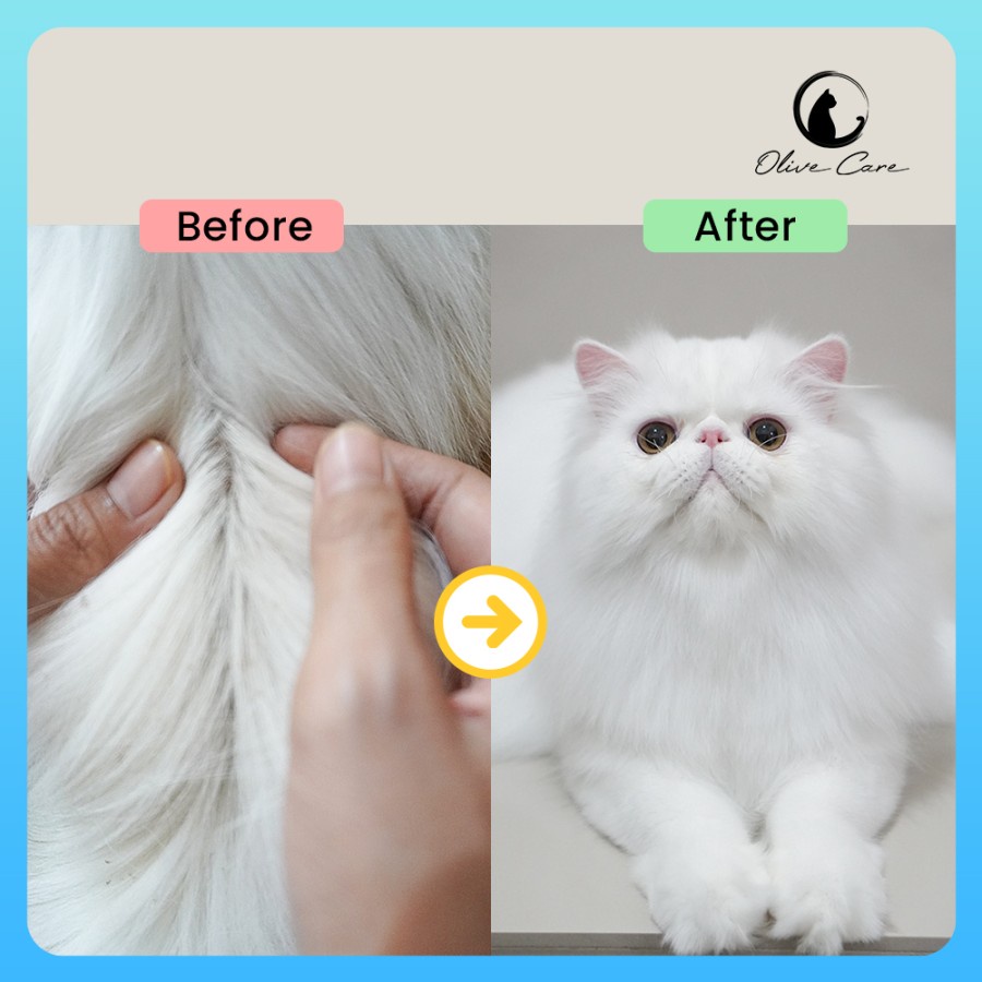 OLIVE CARE Shampo Kucing Oil Free DEGREASER untuk Anti Rontok, Bulu Berminyak, Kotor dan Kembangin Bulu