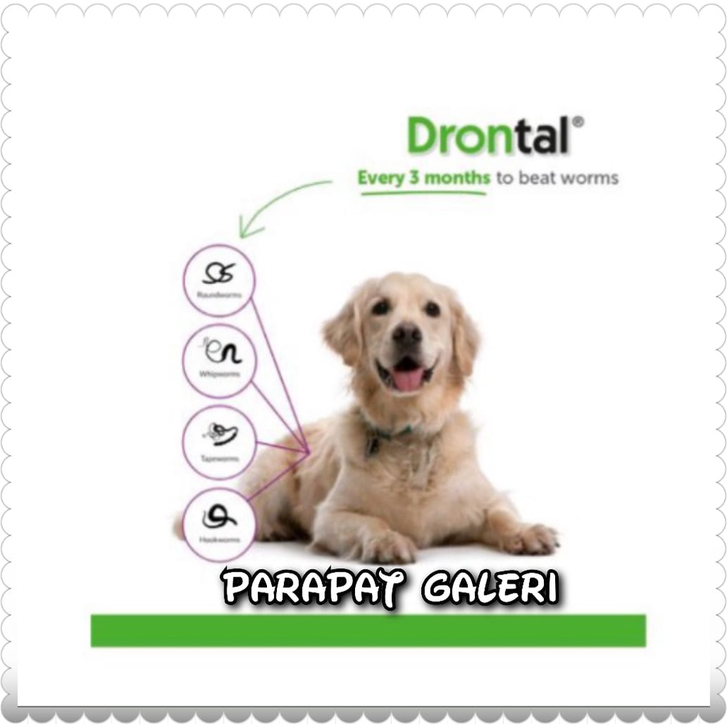 Drontal Dog &amp; Cat / Obat Cacing HARGA PER TABLET untuk 10kg