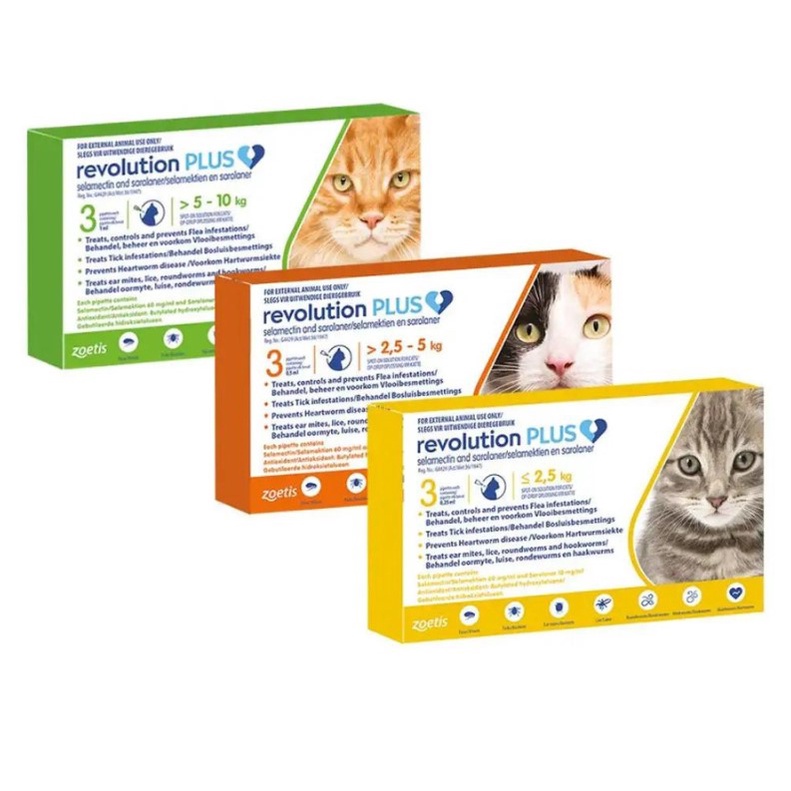 Revolution PLUS for Cat &amp; Kitten - Obat Anti Kutu Kucing (HARGA UNTUK 1 TUBE)