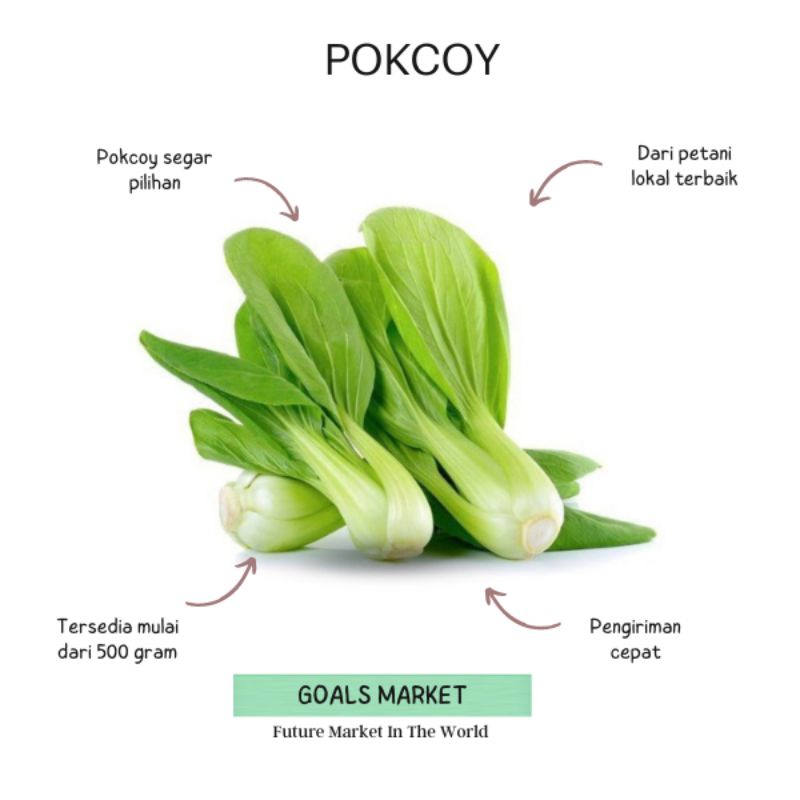 

Sayur Pokcoy 500 gr - 1 kg Pokcoy Sedang Fresh