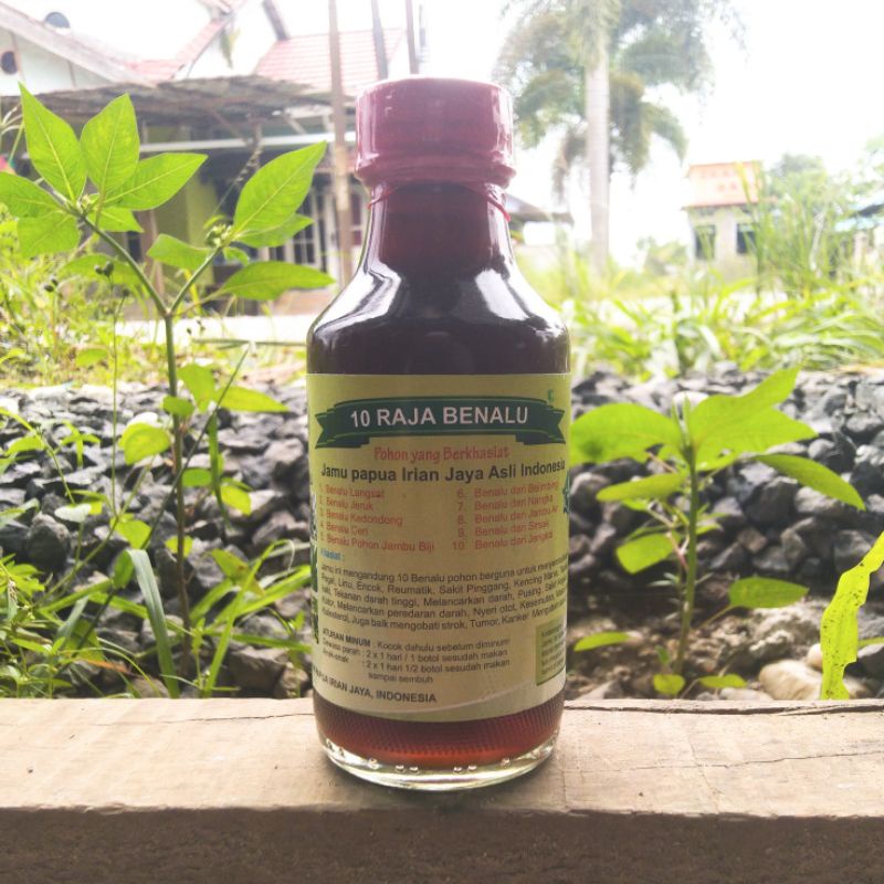 

10 RAJA BENALU Jamu Papua Irian Jaya Asli Indonesia - Jamu Benalu - Jamu Kesehatan