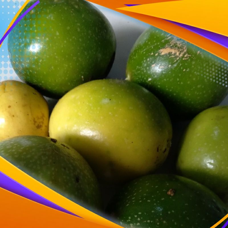 buah saprola atau konyal 1kg