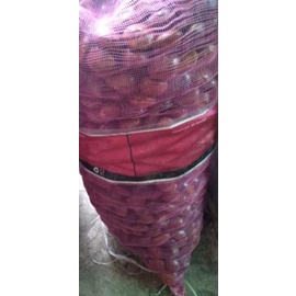 

1kg Jengkol mentah tua ㊑