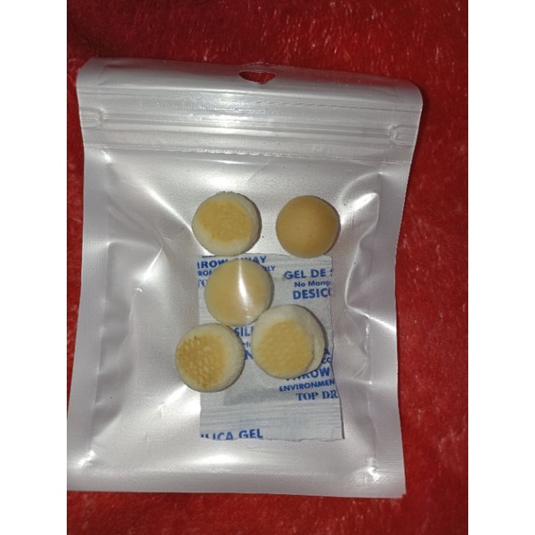 Snack biskuit hamster, sg